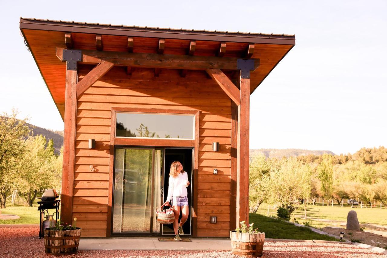 גלנדייל Apple Hollow Cabins מראה חיצוני תמונה